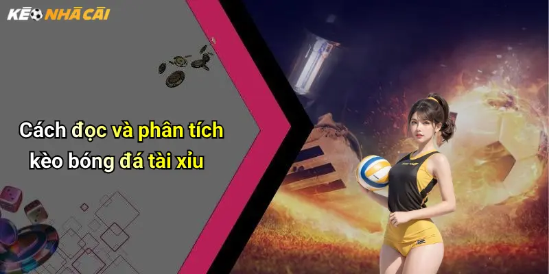 Cách đọc và phân tích kèo bóng đá tài xỉu