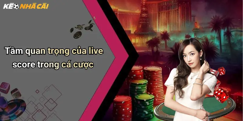 Tầm quan trọng của live score trong cá cược